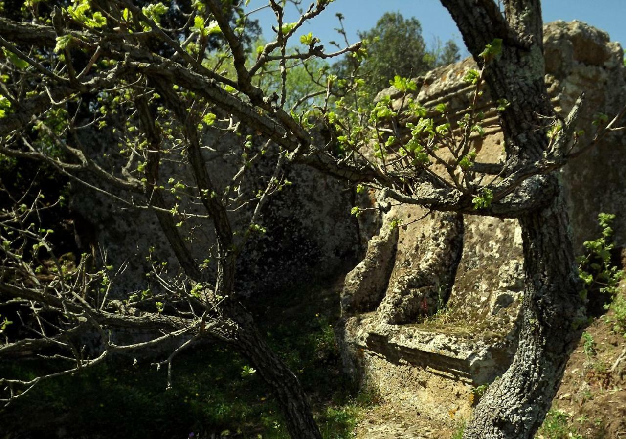 La Casa Di Poggio Strozzoni Villa Pitigliano Exterior foto